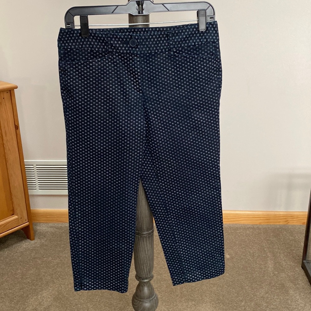 Loft Marisa Capri Pants Petite Size 2